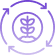 Multi-Coin & Multi-Asset Support